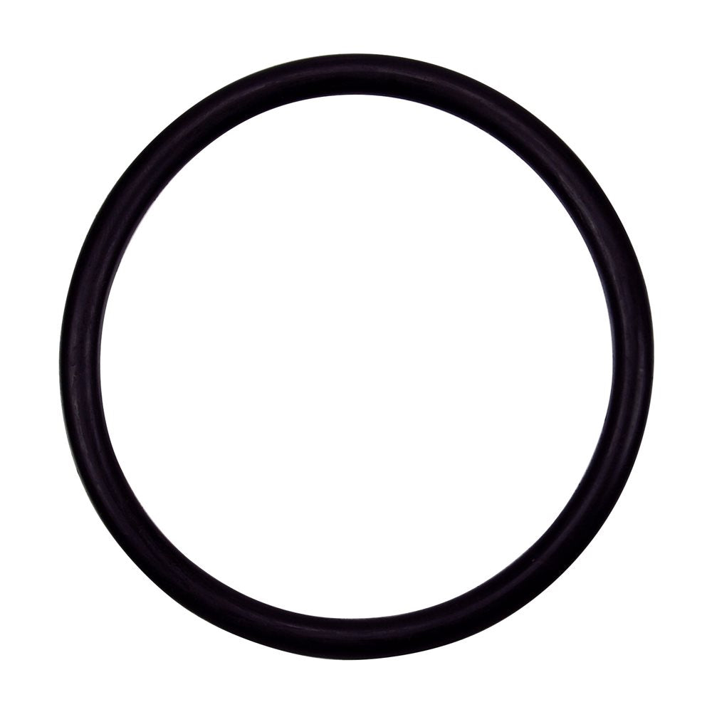 Pentair Parts 154492 O-ring 2 inch bulkhead