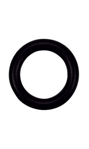 Pentair 154661 O-ring