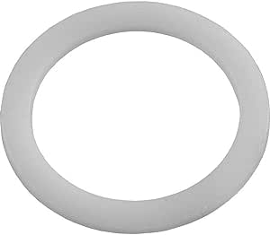 Pentair Valve Spring Washer