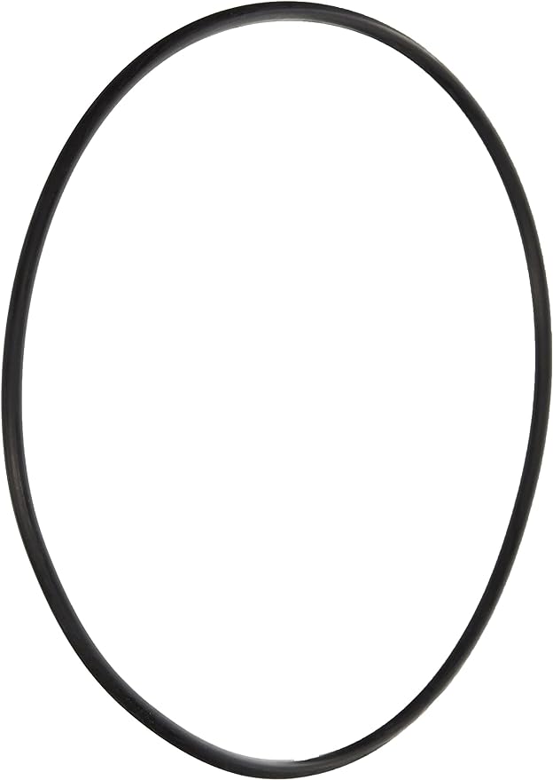 Pentair 355619Z Seal Plate O-ring