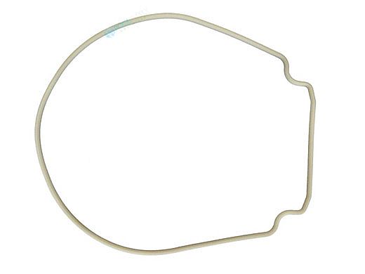 Pentair WhisperFlo & IntelliFlo Seal Plate Gasket