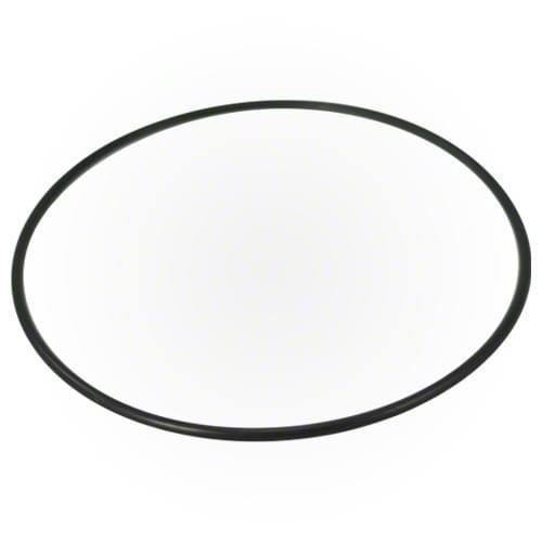 Pentair Pump Lid O-Ring