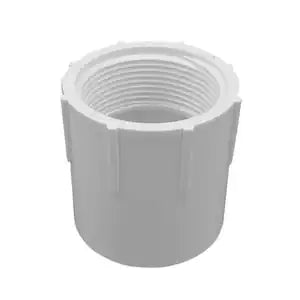435-020 PVC Fitting Adapter 2" x 2" Slip x Fipt