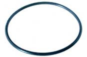 Jacuzzi L & PH Series Lid O-ring