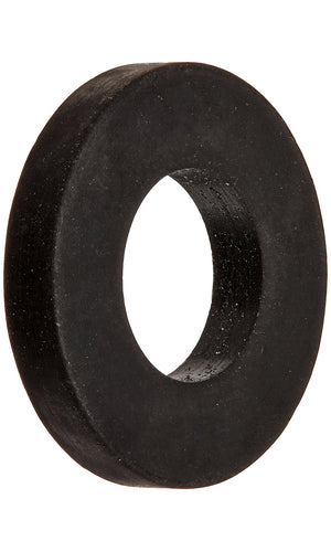 Pentair R172033 Tube Fitting Gasket