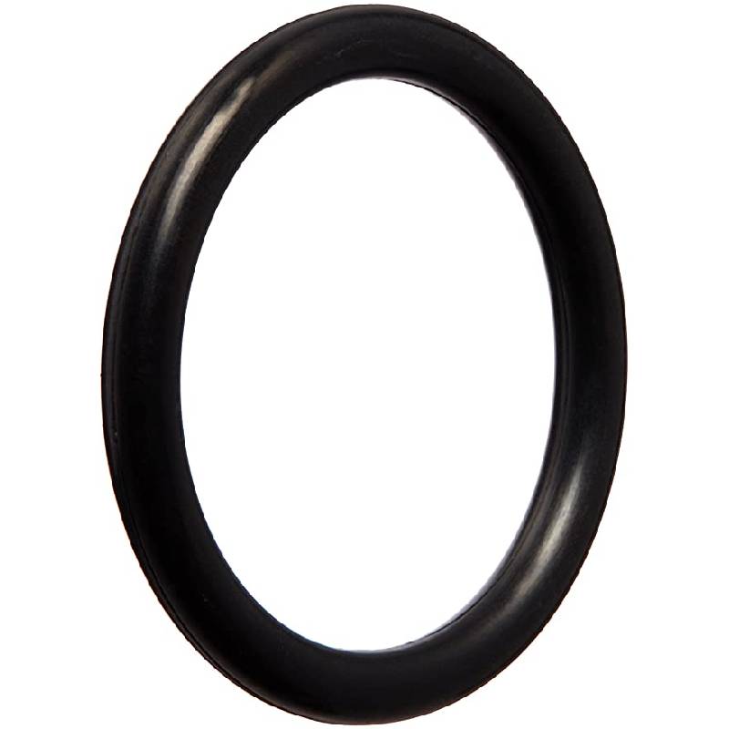 O-Ring for Pentair Slide Valve Thermal Regulator Cap
