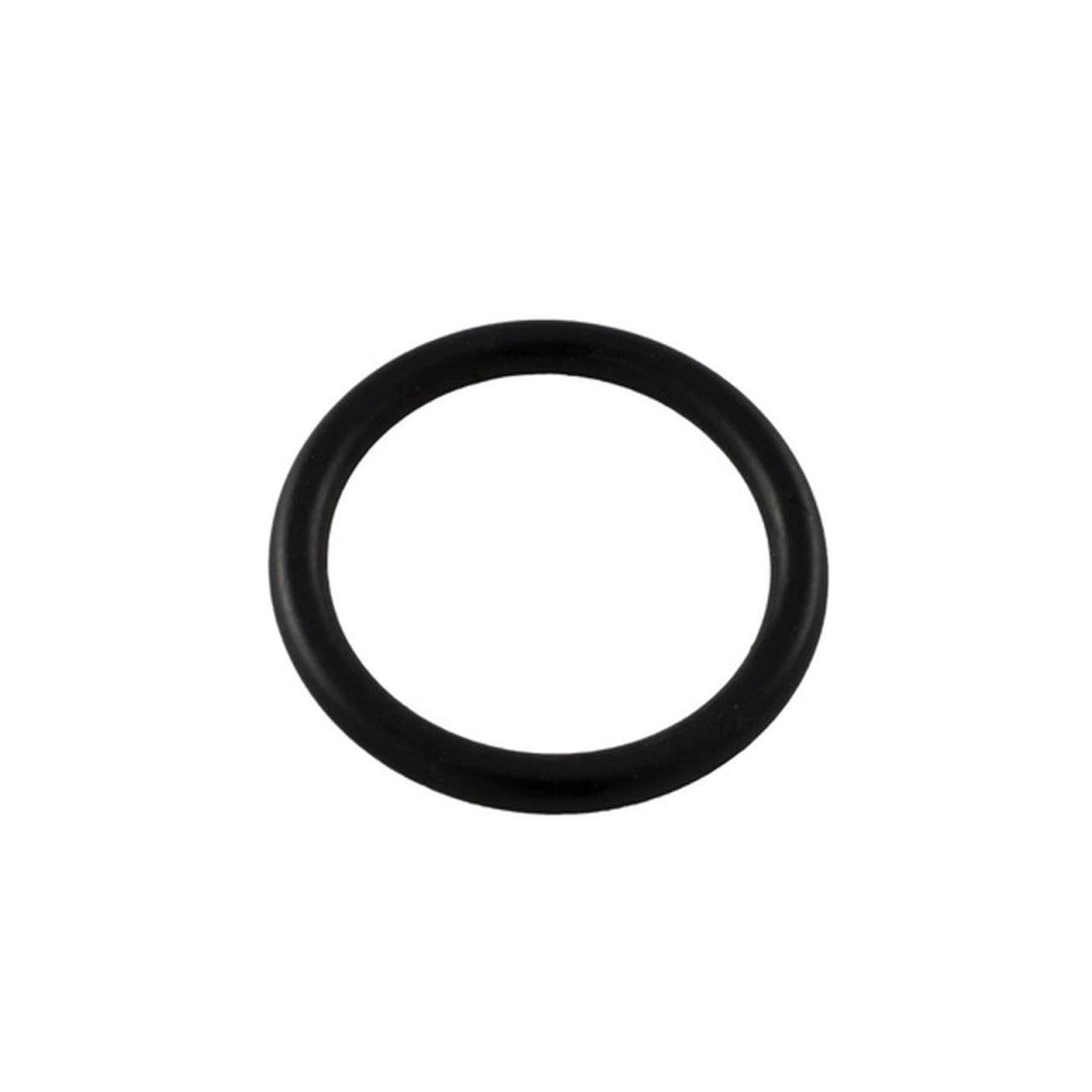 Pentair Drain Cap O-Ring 2"