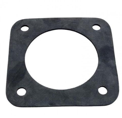 Pentair C20-123 Trap Outlet Gasket