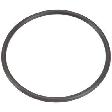 Pentair System III Union O-Ring