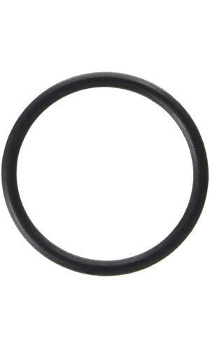 Sta-Rite Drain Plug O-Ring - 35505-1424