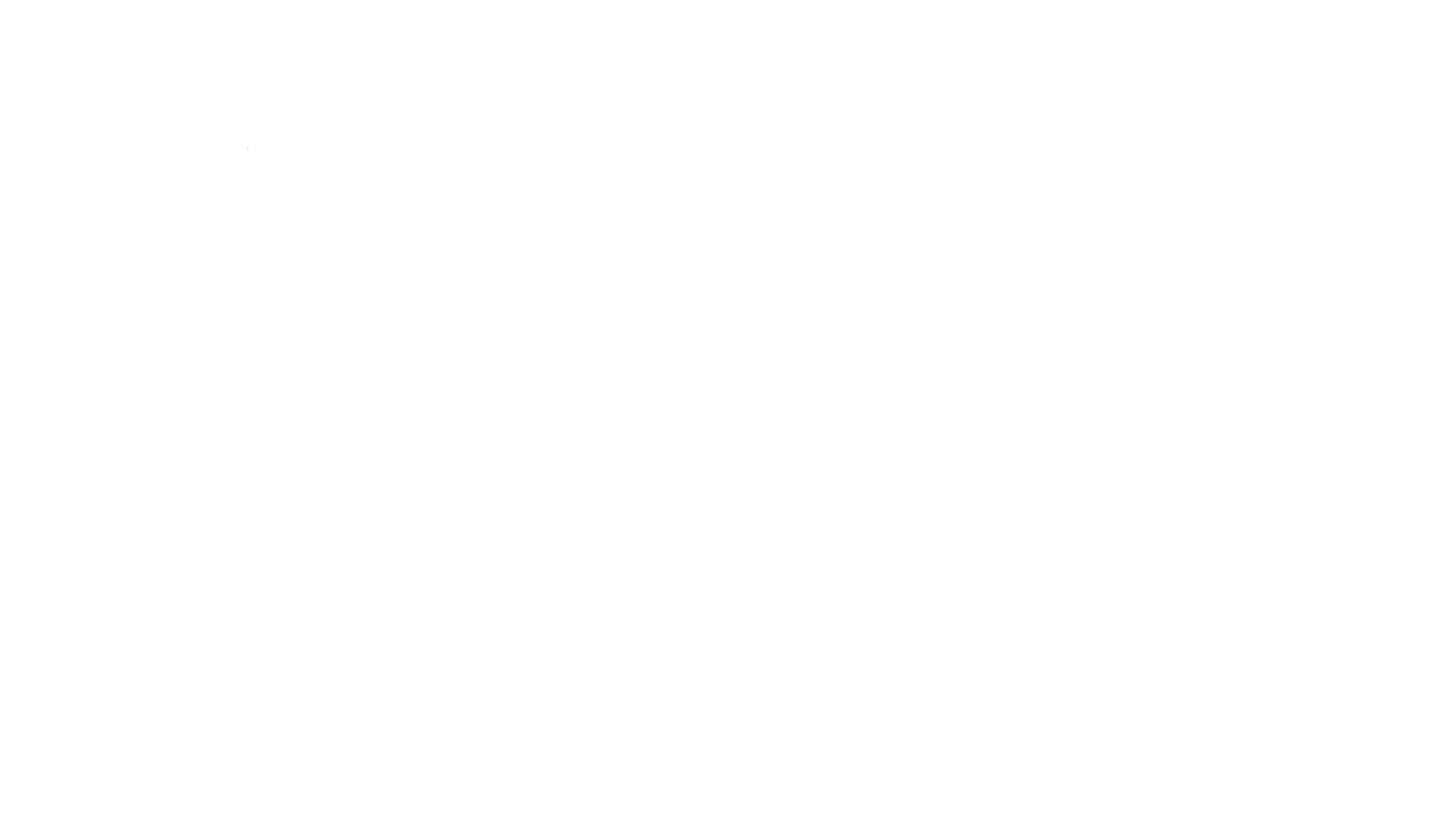 Circulation Pump Aqua Flow Circ-Master (230V 1.5"x1.5")