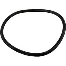 Jandy  - Back Plate O-Ring, FHP