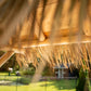 Southern Fantasy Tiki Bar CT3672 - Sun'n'Fun Pool & Spa