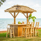 Tropical Paradise Tiki Bar CT4896 - Sun'n'Fun Pool & Spa