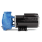 Gecko Flo-Master XP2 Spa Pump 2HP (115V - 2"x2") - Sun'n'Fun Pool & Spa
