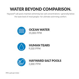 Salt System for Inground Pools AquaRite S3 Omni (up to 25k gallons)